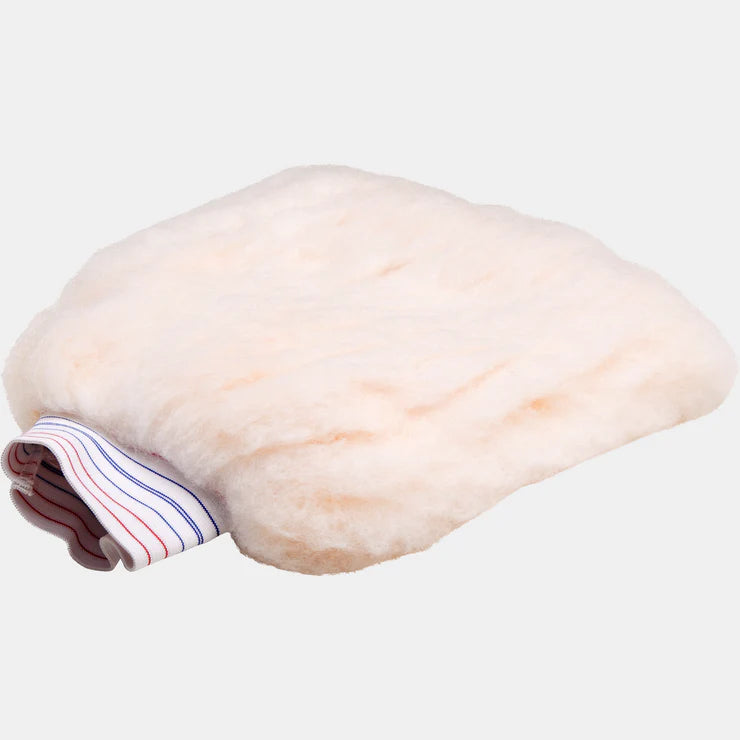 P&S Professional Wash Mitt