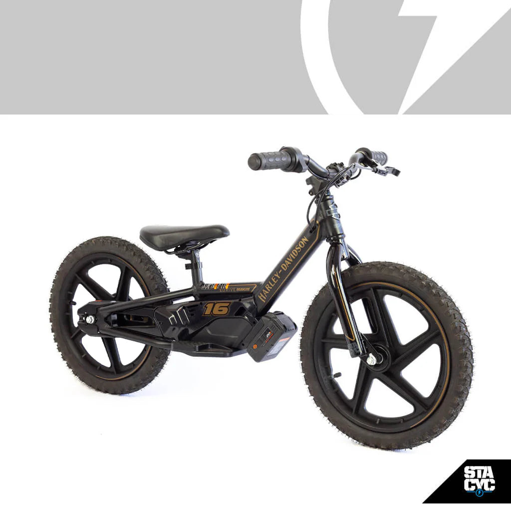 H-D 16eDRIVE BRUSHLESS
